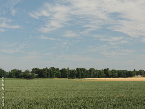 Sommerliche Landschaft am Niederrhein bei Wickrath Juni