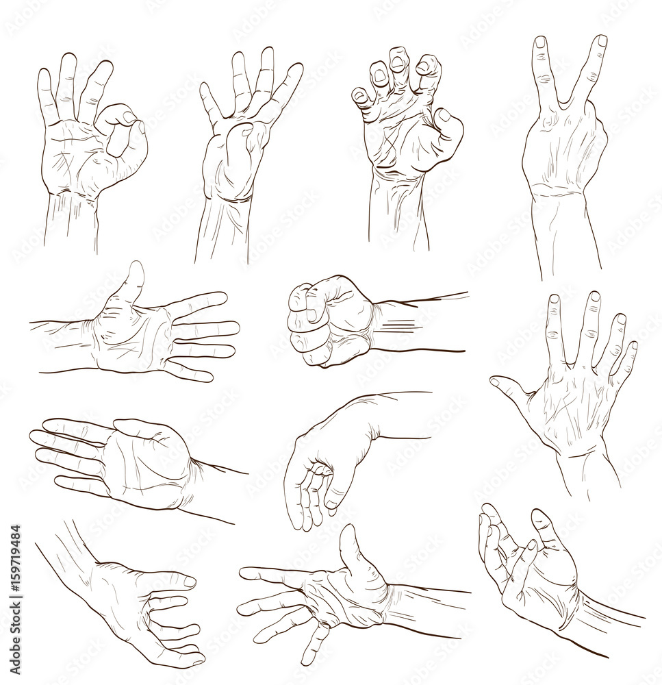 set of hands with different gestures on white. hand drawing vector illustration set of hands with different gestures on white. hand drawing vector illustration