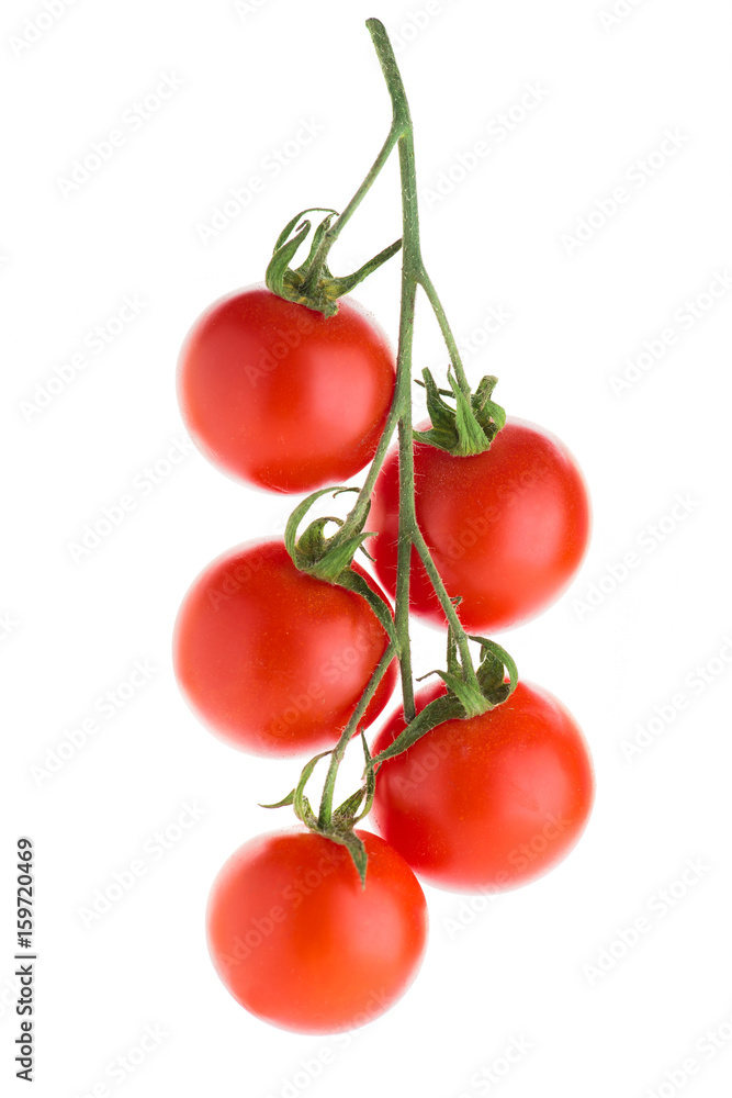 cherry tomatoes on a branch cherry tomatoes on a branch