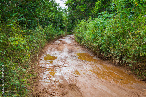 Fototapeta Naklejka Na Ścianę i Meble -  Dirt mud road in jungle of Vietnam