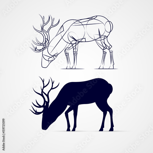 Deer Silhouette