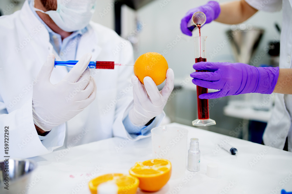 Fototapeta premium Doctor and his assistant doing GMO experiments in laboratory. Injecting chemical substances into orange.