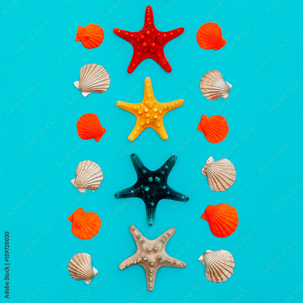 set of sea stars and seashells. Beach style. Minimal art