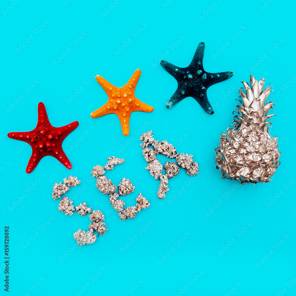 Set of sea stars Beach style. Tropical Minimal art Set of sea stars Beach style. Tropical Minimal art