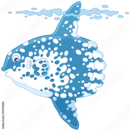 Fish-moon
