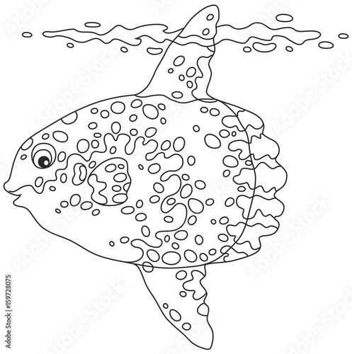Fish-moon