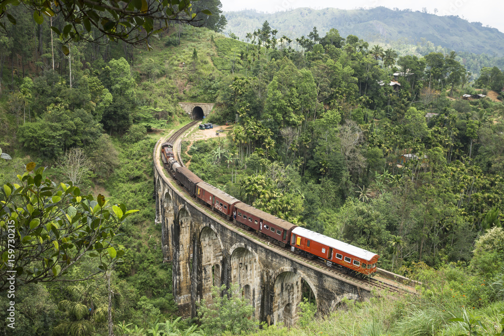 Obraz premium Train from the back in the mountains of Ella, Sri Lanka