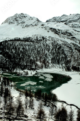 trenino rosso del bernina photo