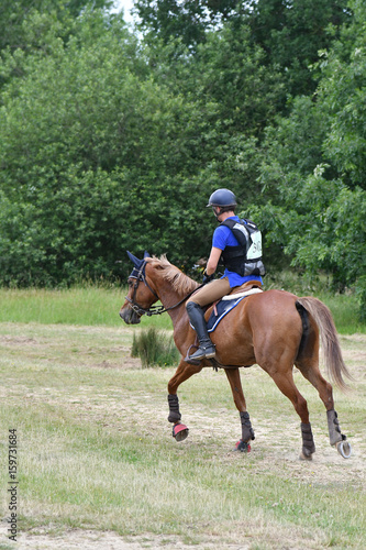 Fotografie cross hippique