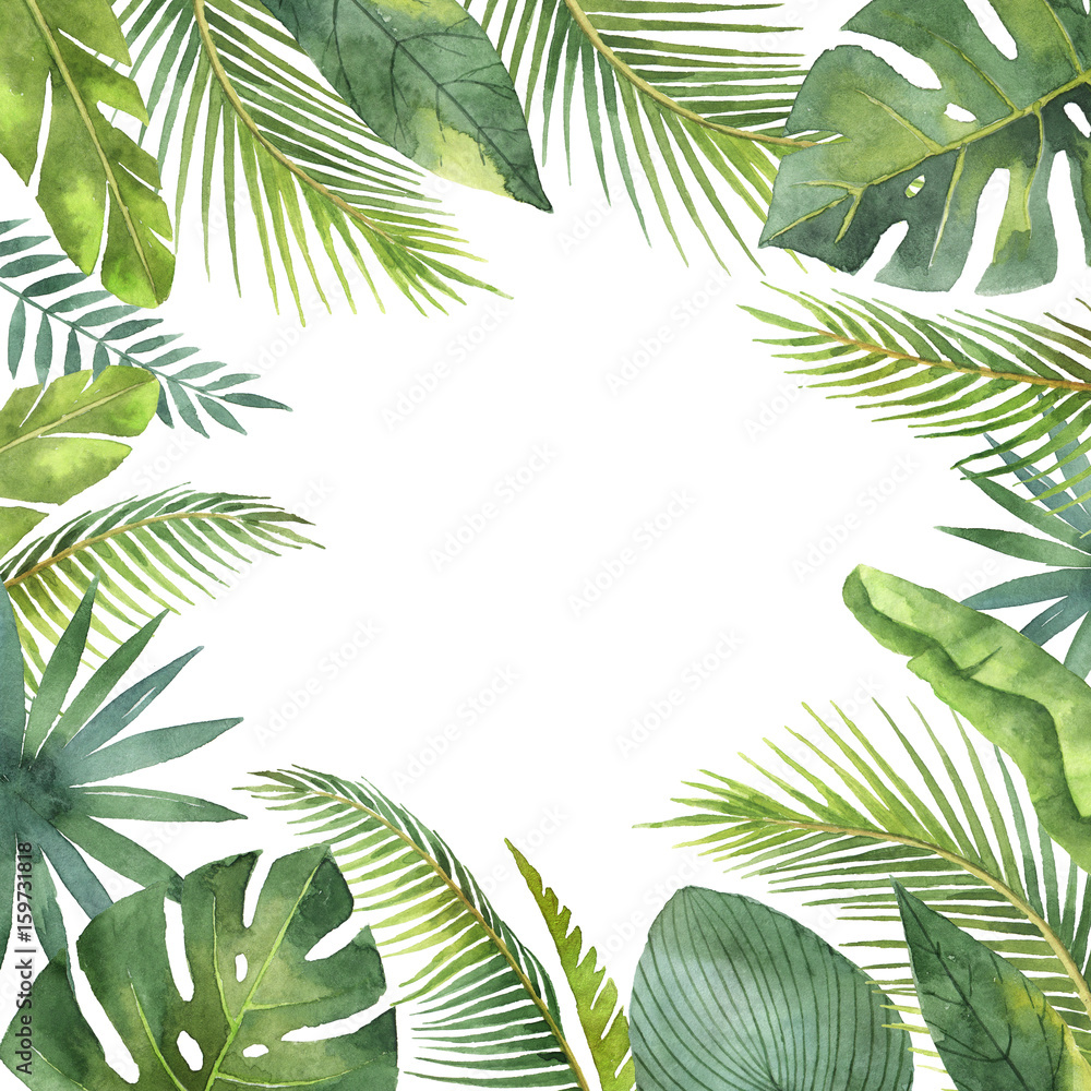 Watercolor frame tropical leaves and branches isolated on white ...
