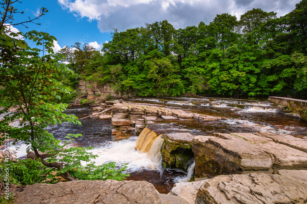 Fototapeta premium Richmond Falls at low water / The market town of Richmond is sited at the very edge of the North Yorkshire Dales, on the banks of River Swale