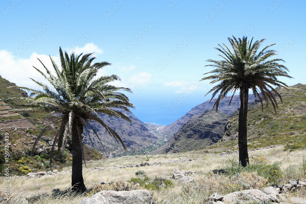 Zwei Palmen auf La Gomera Panorama Valle Gran Rey Aussicht