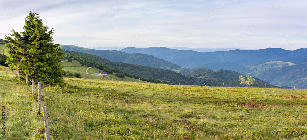 French countryside - Vosges. Panoramic view to a valley in the Vosges. In the background you can admire the Alps.