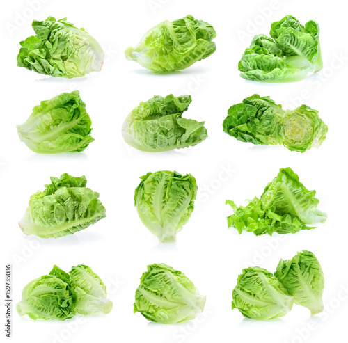 baby cos (lettuce) isolated on white background