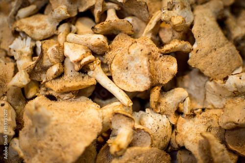 Pile of Dried Shiitake Mushrooms Close Up Background. Healthy Eating.
