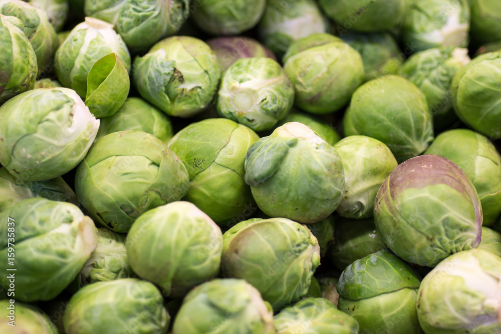Pile of Green Brussels Sprout Close Up Background. Healthy Eating. Pile of Green Brussels Sprout Close Up Background. Healthy Eating.