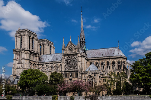 View of Cathedral Notre Dame de Paris - a most famous Gothic, Roman Catholic cathedral (1163 - 1345) on the eastern half of the Cite Island. © dbrnjhrj