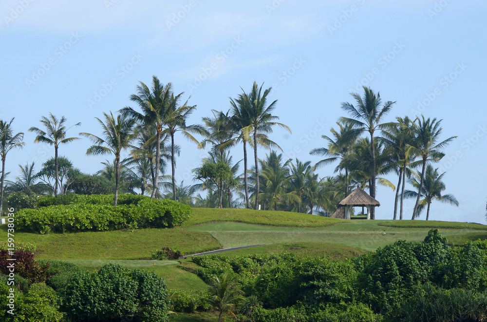 A tropical resort with palm trees, green grass, a straw tent and a blue sky A tropical resort with palm trees, green grass, a straw tent and a blue sky