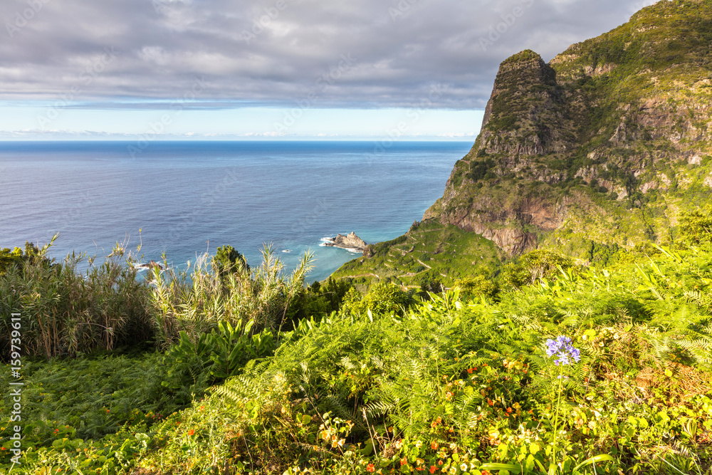 Green cliffs of Madeira coast