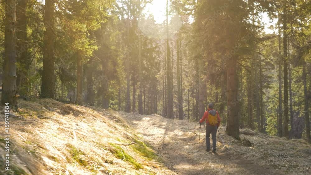 Wide shot of a man hiking in the woods with trees and sun sparkle in the background.
Wide shot of a man hiking in the woods with trees and sun sparkle in the background.