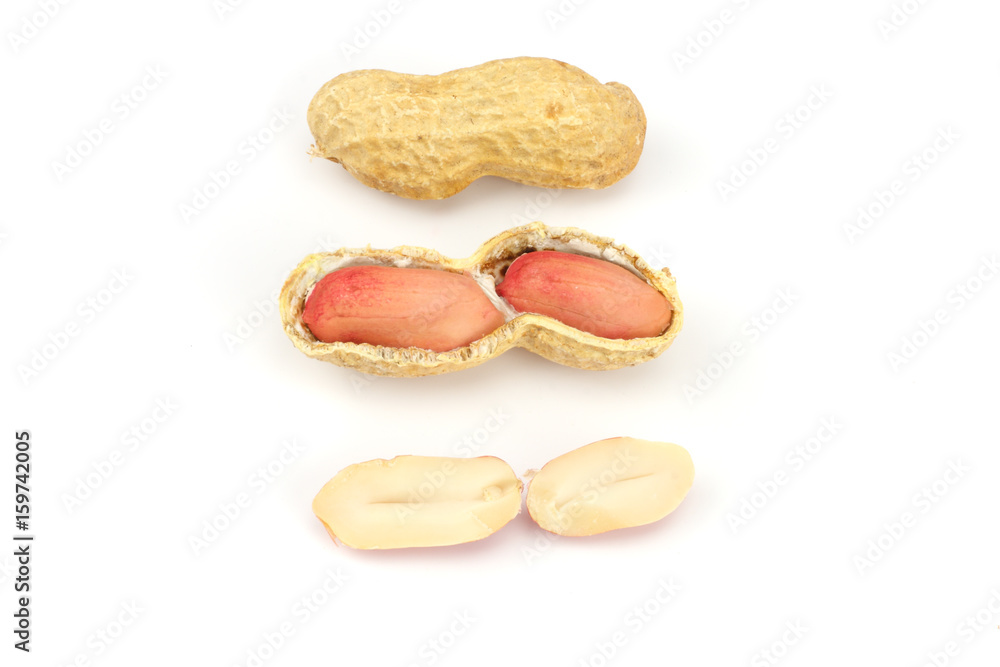 peanuts isolated on the white background peanuts isolated on the white background