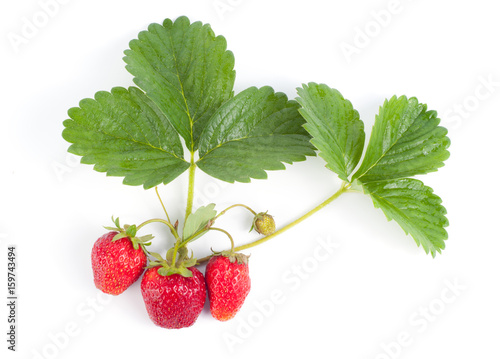 Close up of fresh ripe strawberries and leaves isolated on white background 