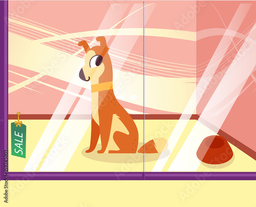 Illustration of a petshop with cheerful dog. Lovely cartoon dog in the showcase. Vector illustration