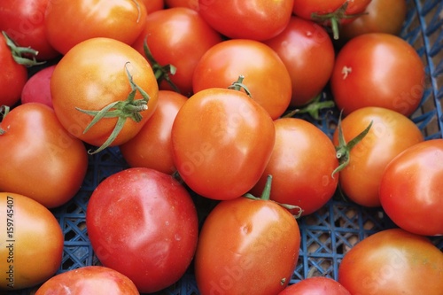 Fresh tomatoes for cooking in the market