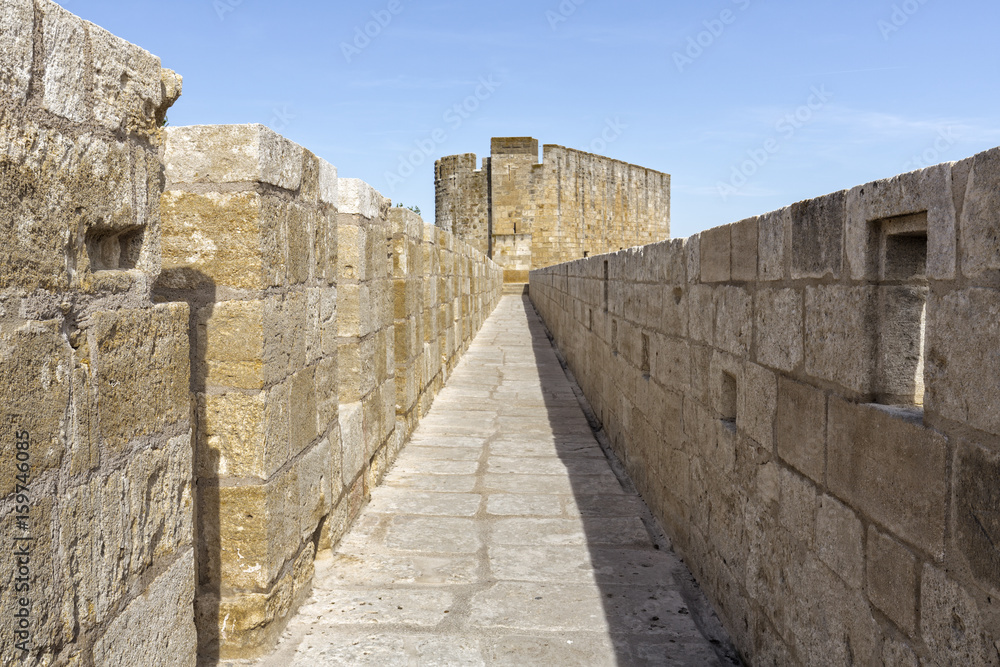 Die Festung im Ort Aigues-Mortes, Camargue, Südfrankreich