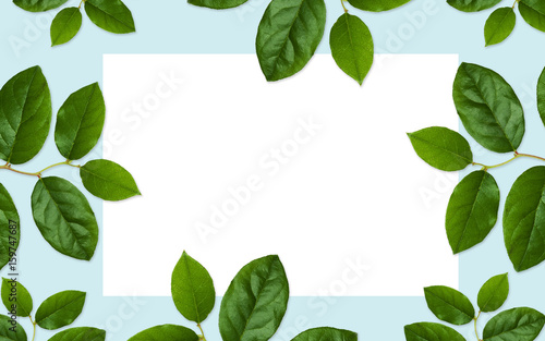 white blank space and green leaves on blue