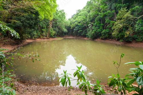 Udawattakele Royal Forest Park photo