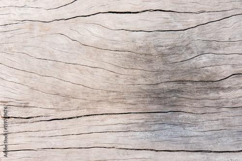 texture surface wood , old dirty wooden background