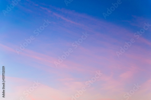 Combining nature with graphic design for design.