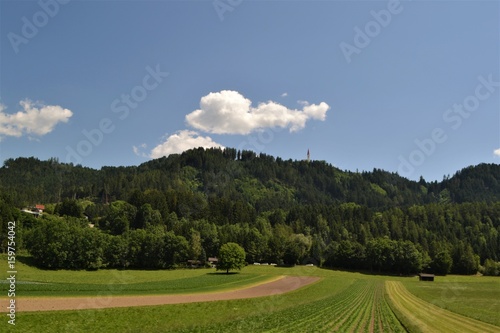 Hügel in Tirol