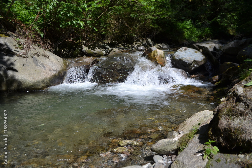 Bach in der Natur Bach in der Natur
