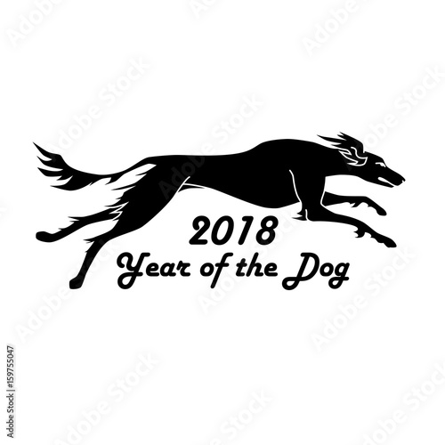 Vector silhouette of running dog saluki breed