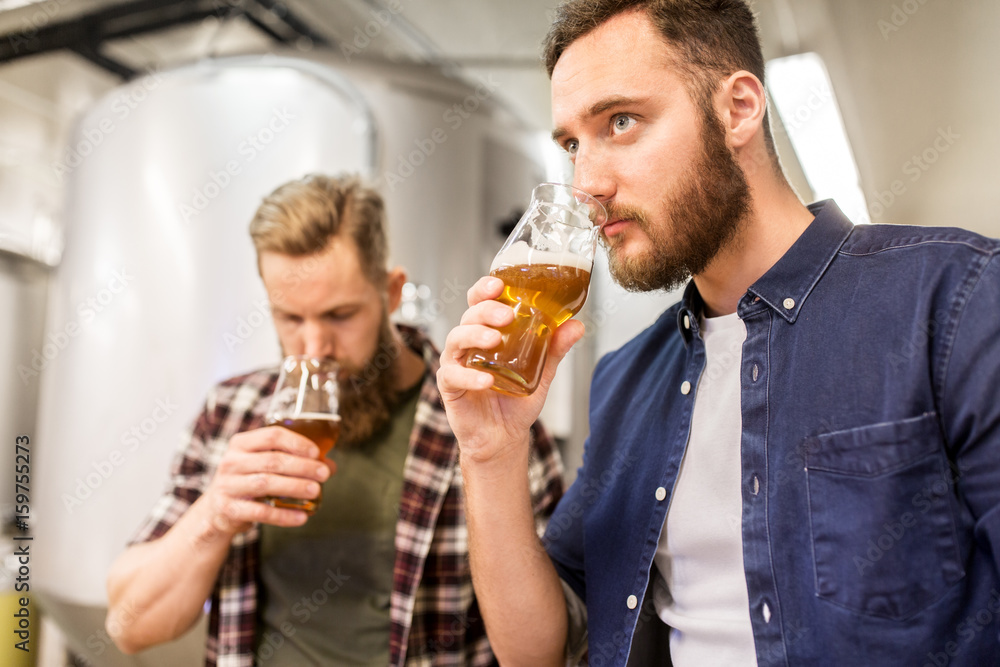 men drinking and testing craft beer at brewery men drinking and testing craft beer at brewery