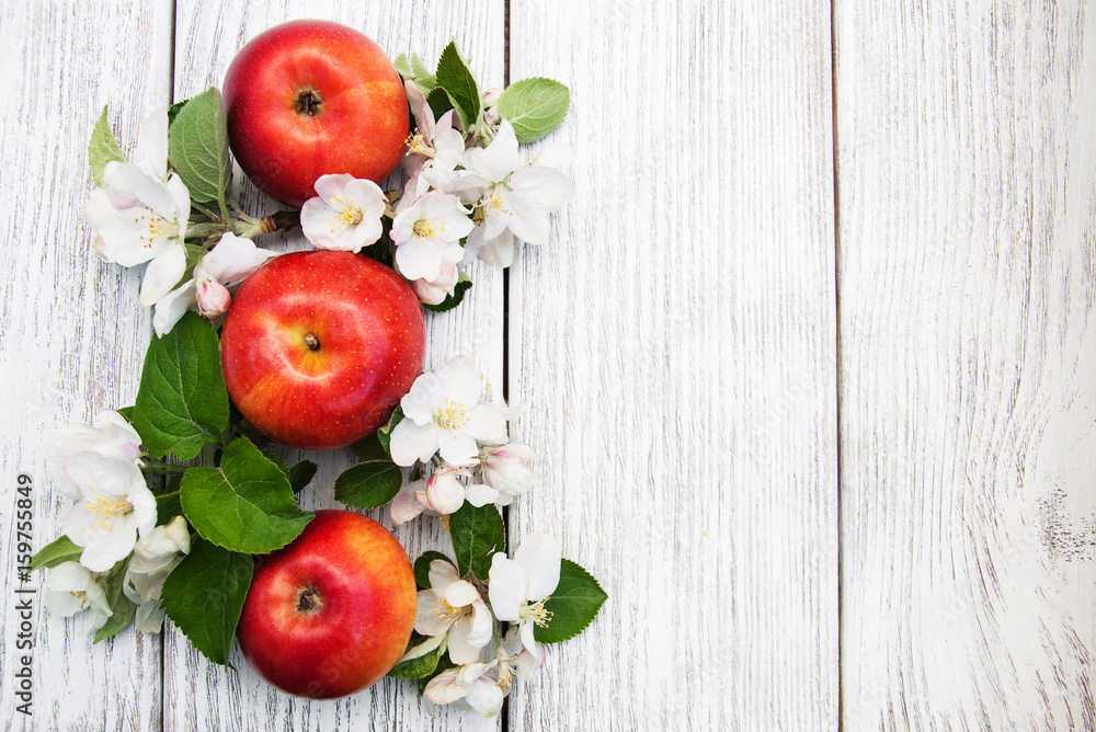 apples and apple tree blossoms apples and apple tree blossoms