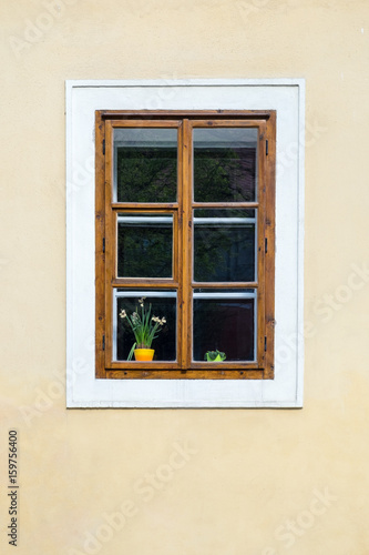 wood window