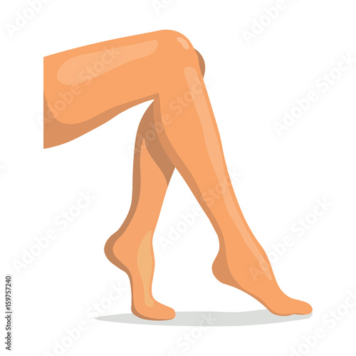 Beautiful drawn female legs. Vector illustration.
