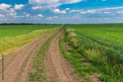 Sunny spring landscape with an earth road among agricultural fields near Dnipro city in central Ukraine