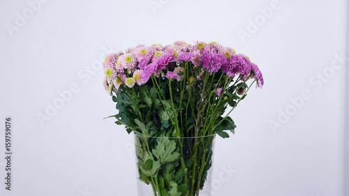 Flowers, bouquet, rotation on white background, floral composition consists of pink Santini photo