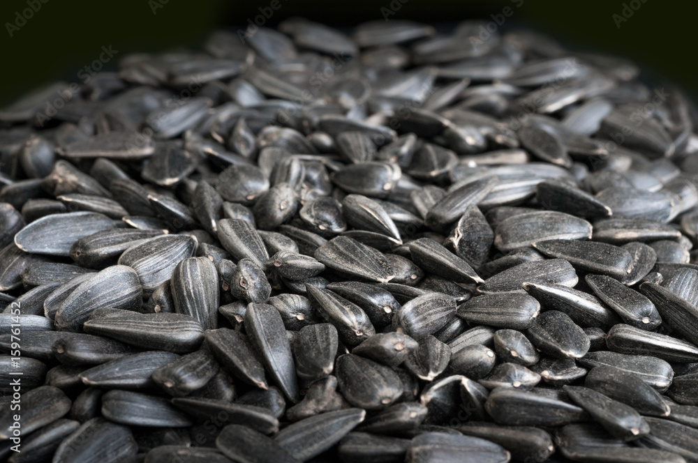 Black sunflower seeds background Black sunflower seeds background