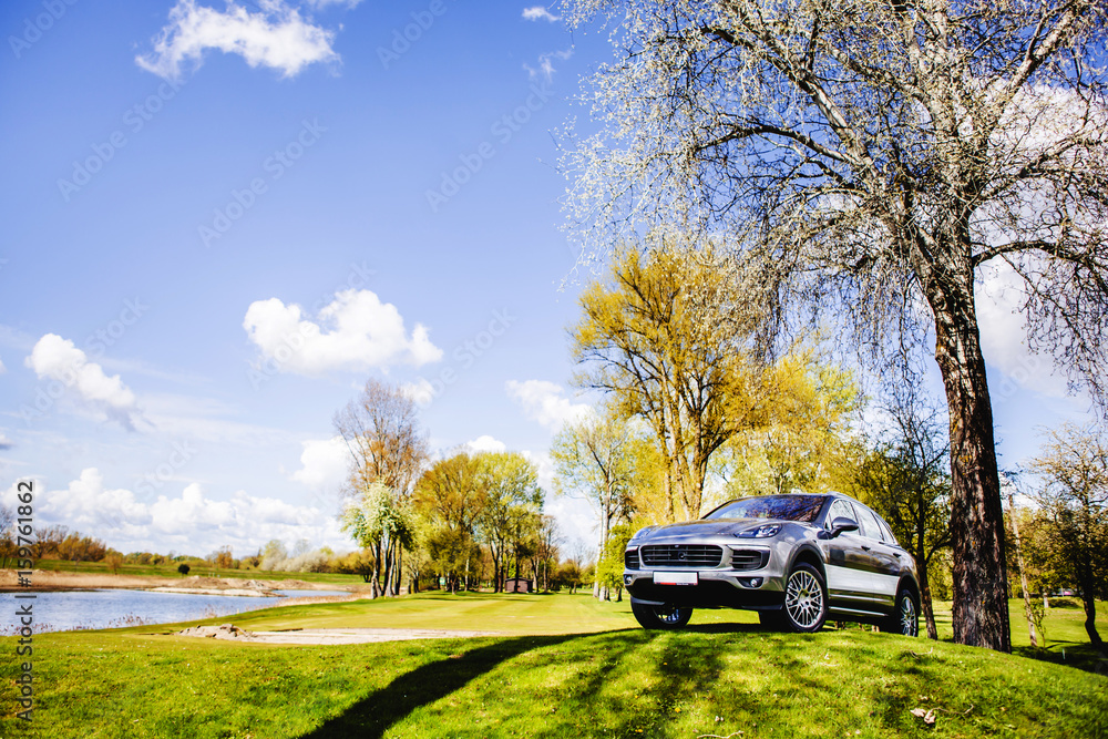 A car on the green grass near the lake A car on the green grass near the lake