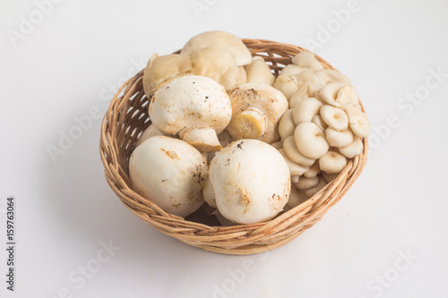 Various kinds of Mushroom. Champignon and Shimeji into a basket