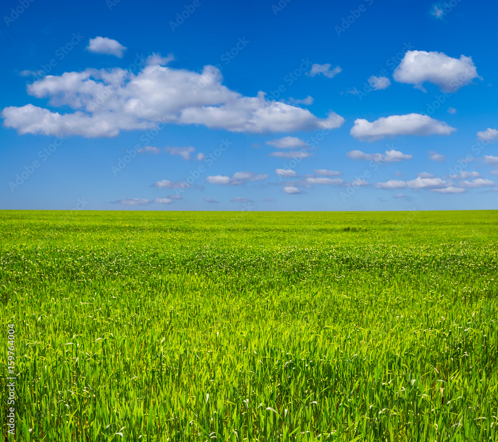 beautiful summer rural green fields landscape beautiful summer rural green fields landscape