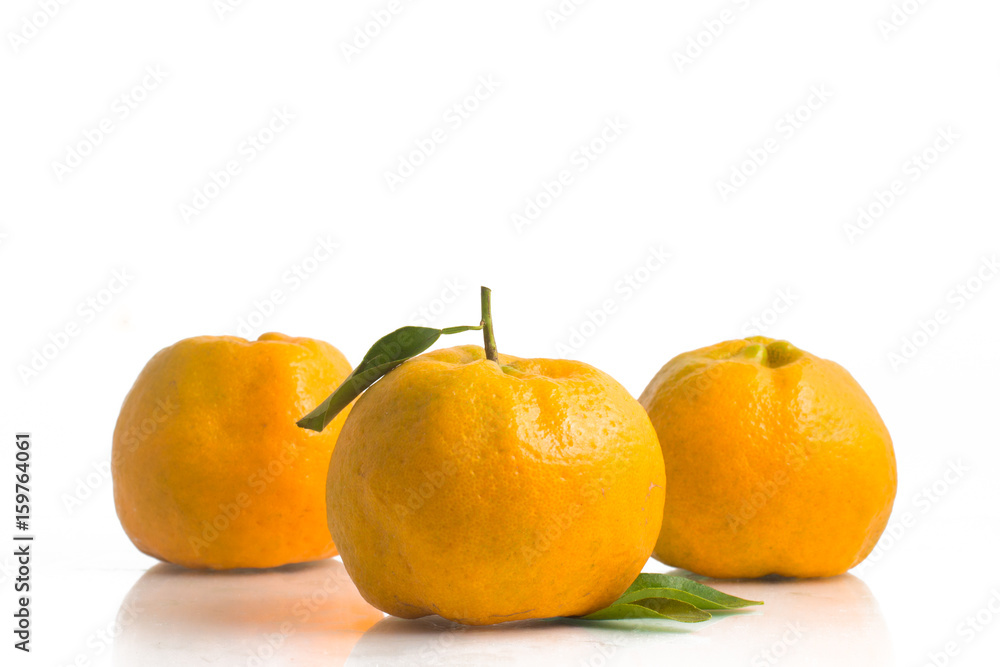 Brazilian Mexerica Pokan or Tangerine Brazilian Mexerica Pokan or Tangerine