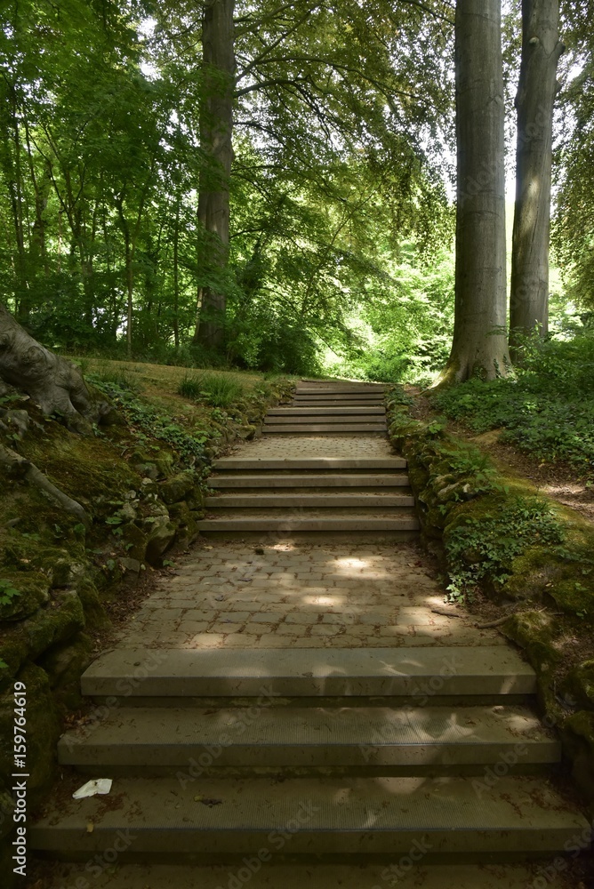 Escalier ombragé à l'arboretum du domaine de Mariemont à Morlanwelz Escalier ombragé à l'arboretum du domaine de Mariemont à Morlanwelz
