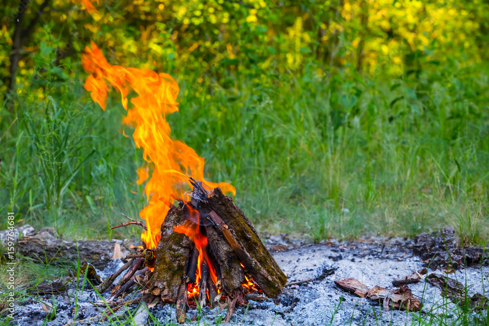 closeup camp fire among a forest closeup camp fire among a forest