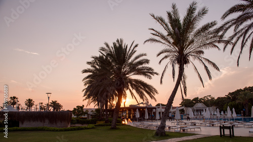 palm trees  sun loungers and parasols hotel sunset